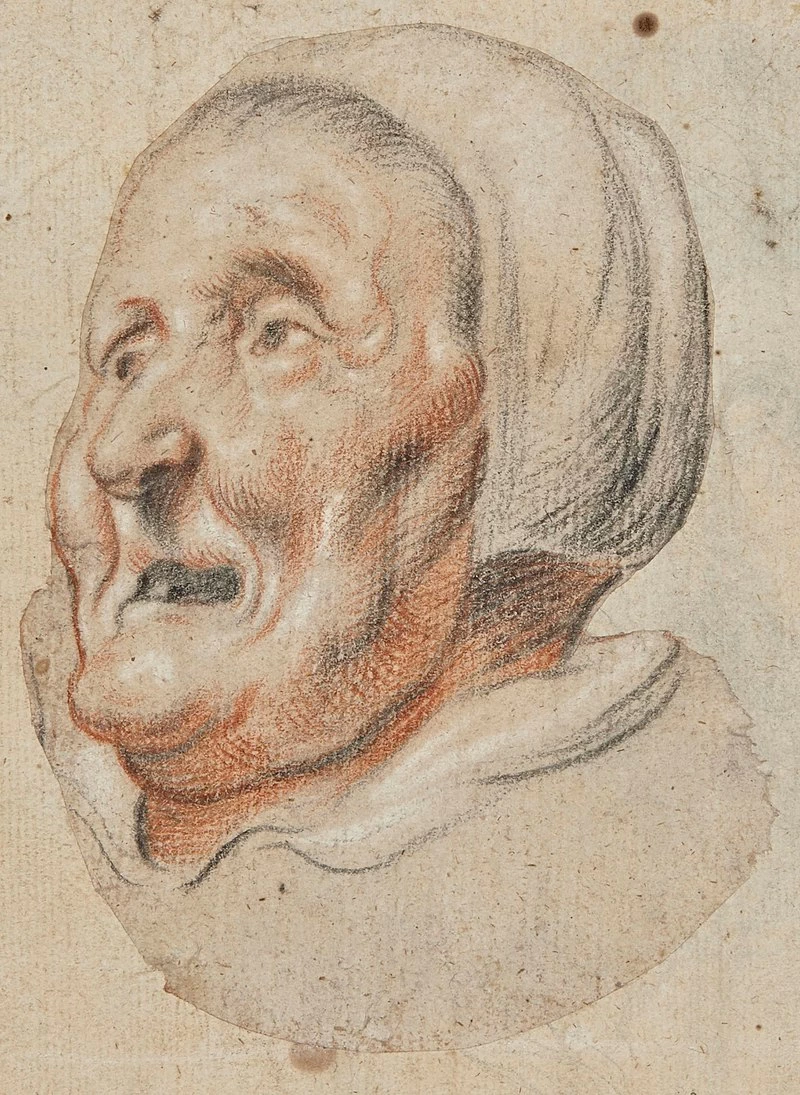 Disegno - Testa di donna